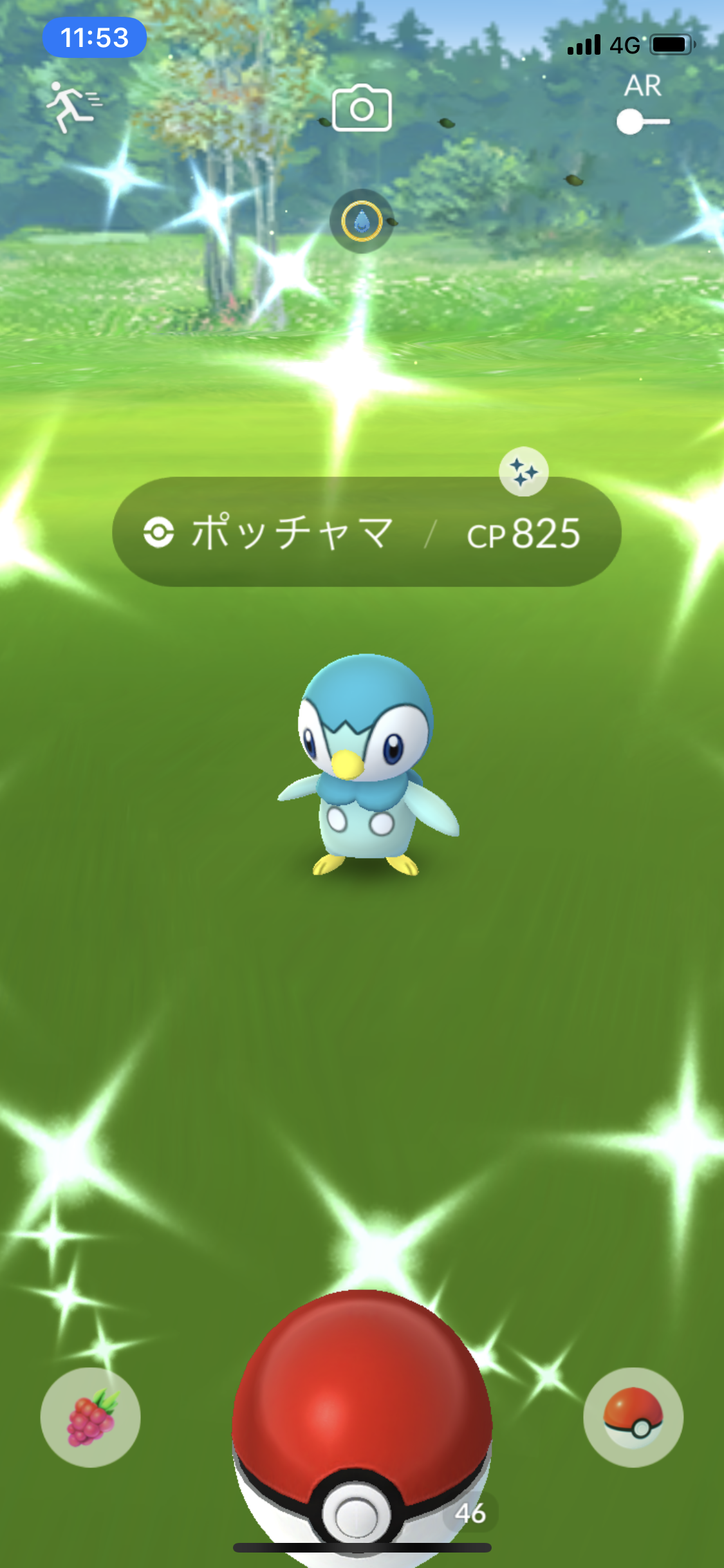 色違いポッチャマ