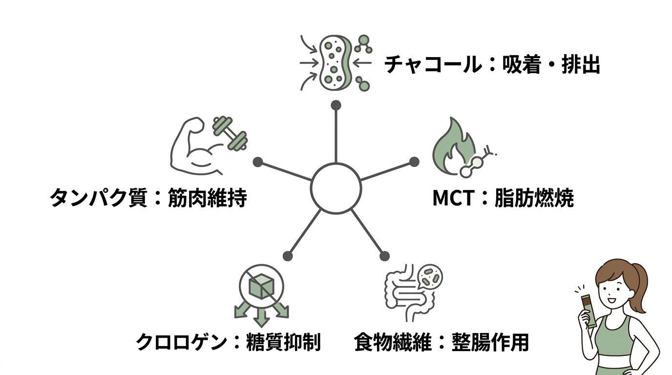 成分ごとに期待できるダイエット効果